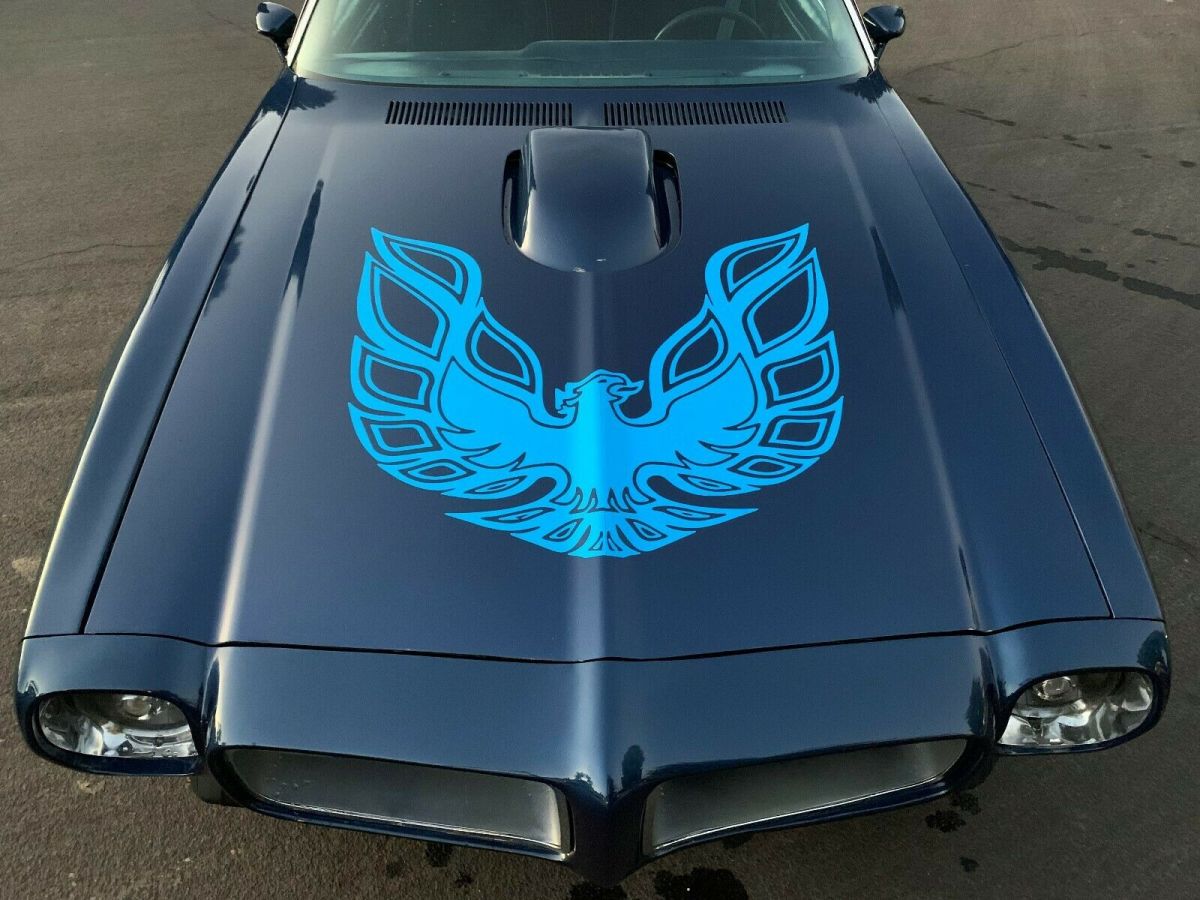 1979 Pontiac Firebird - photo 8