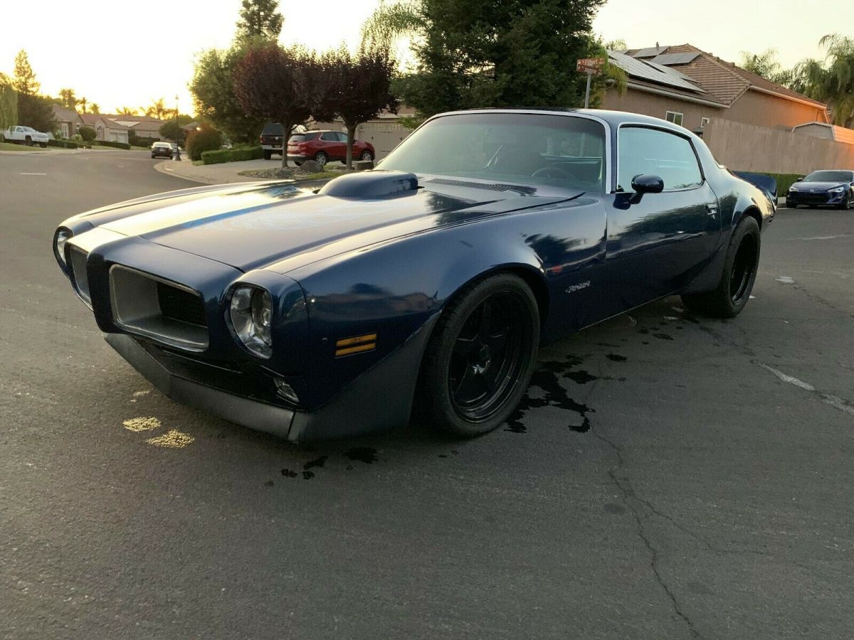 1979 Pontiac Firebird - photo 9