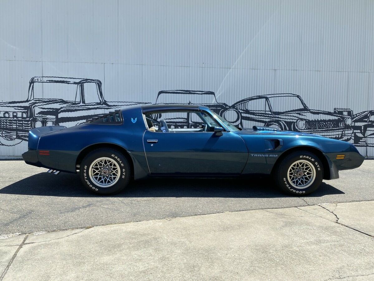 1979 Pontiac Firebird - photo 13