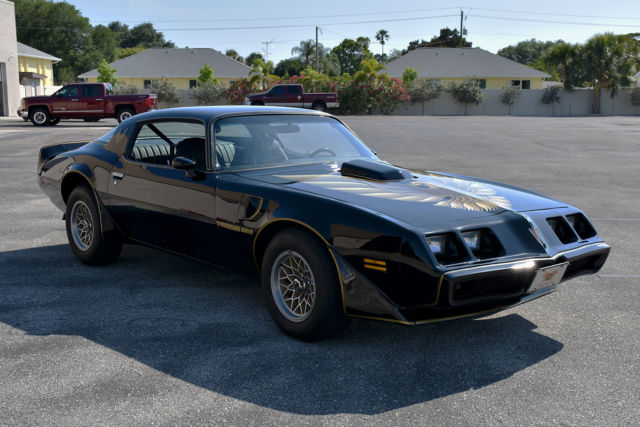 1979 Pontiac Firebird Trans Am - photo 10