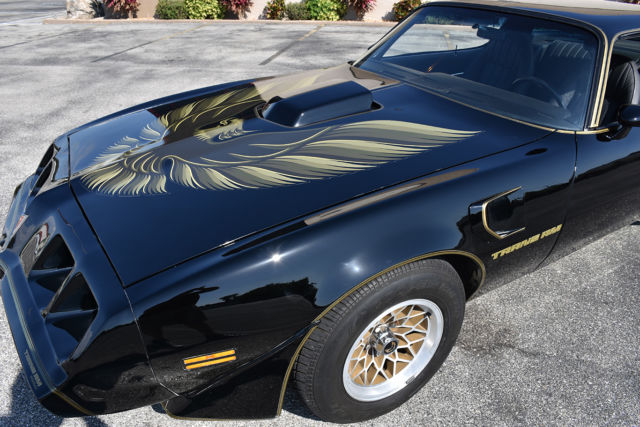 1979 Pontiac Firebird Trans Am - photo 11