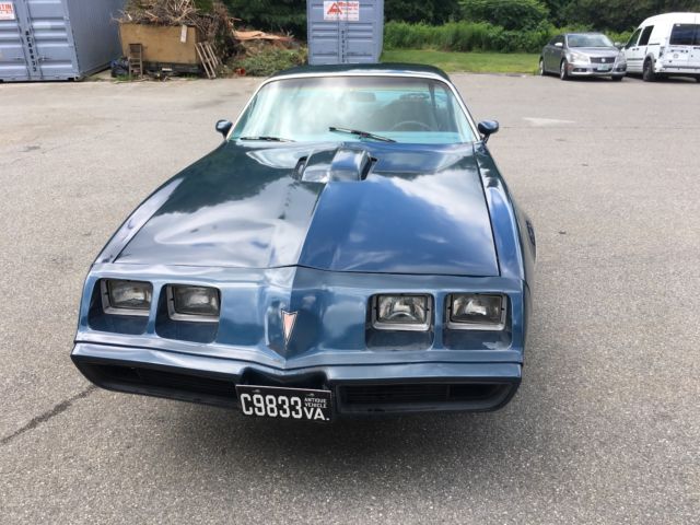 1979 Pontiac Firebird - photo 10