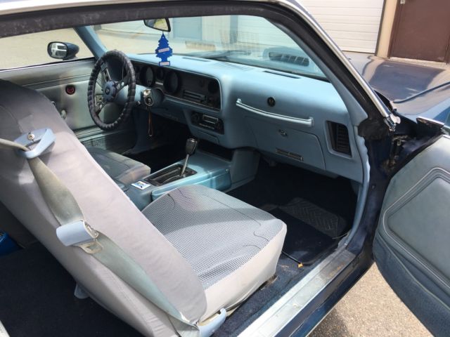 1979 Pontiac Firebird - photo 12