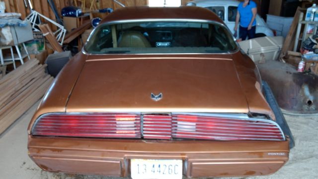 1979 Pontiac Firebird - photo 10