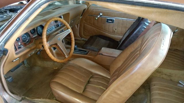 1979 Pontiac Firebird - photo 6