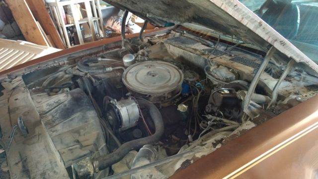 1979 Pontiac Firebird - photo 7