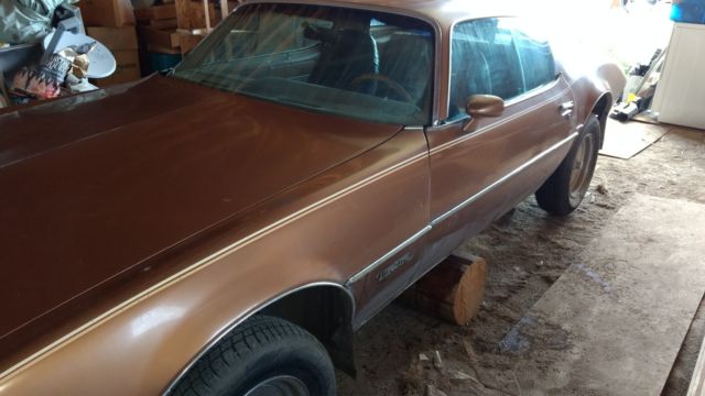 1979 Pontiac Firebird - photo 9