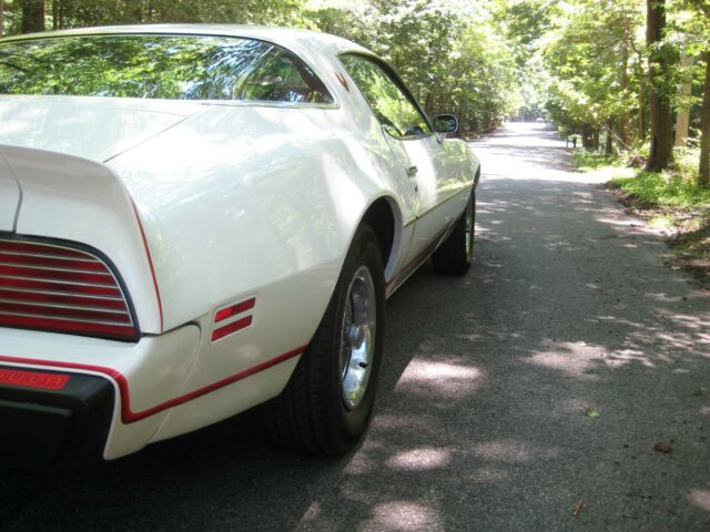 1979 Pontiac Firebird --base - photo 12