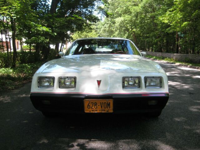 1979 Pontiac Firebird --base - photo 2