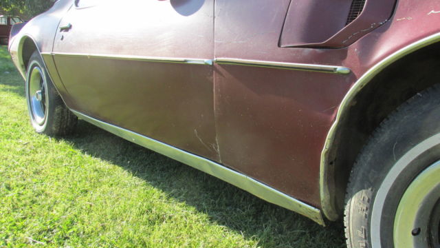 1979 Pontiac Firebird - photo 12