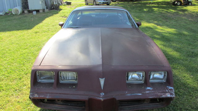 1979 Pontiac Firebird - photo 3