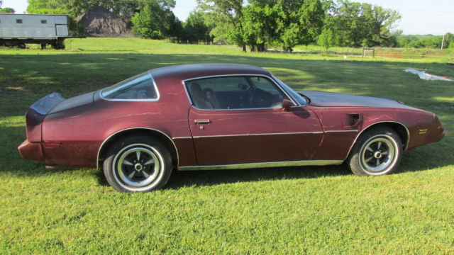 1979 Pontiac Firebird - photo 4