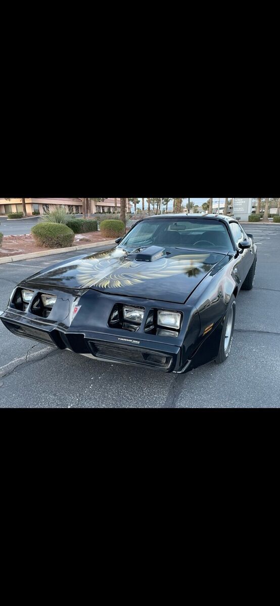1979 Pontiac Firebird - photo 3