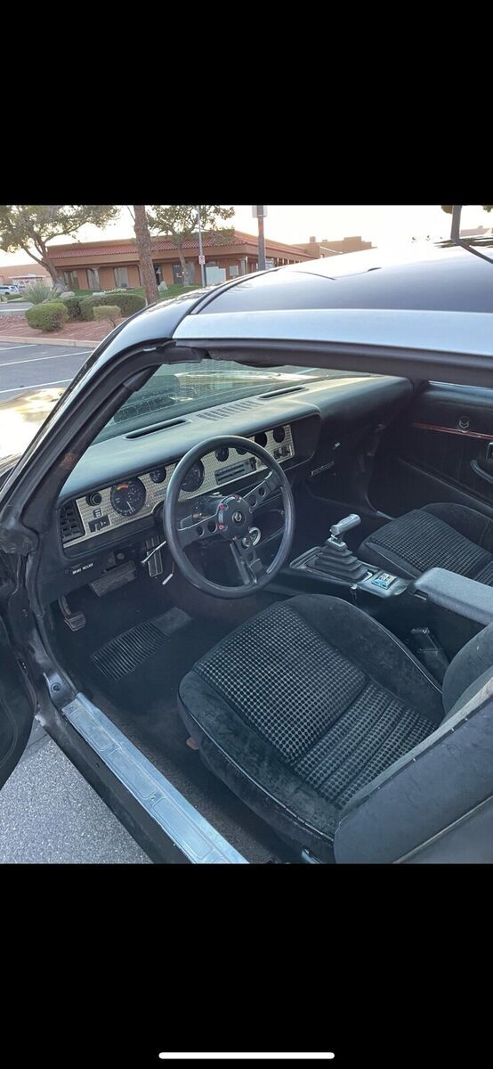 1979 Pontiac Firebird - photo 7