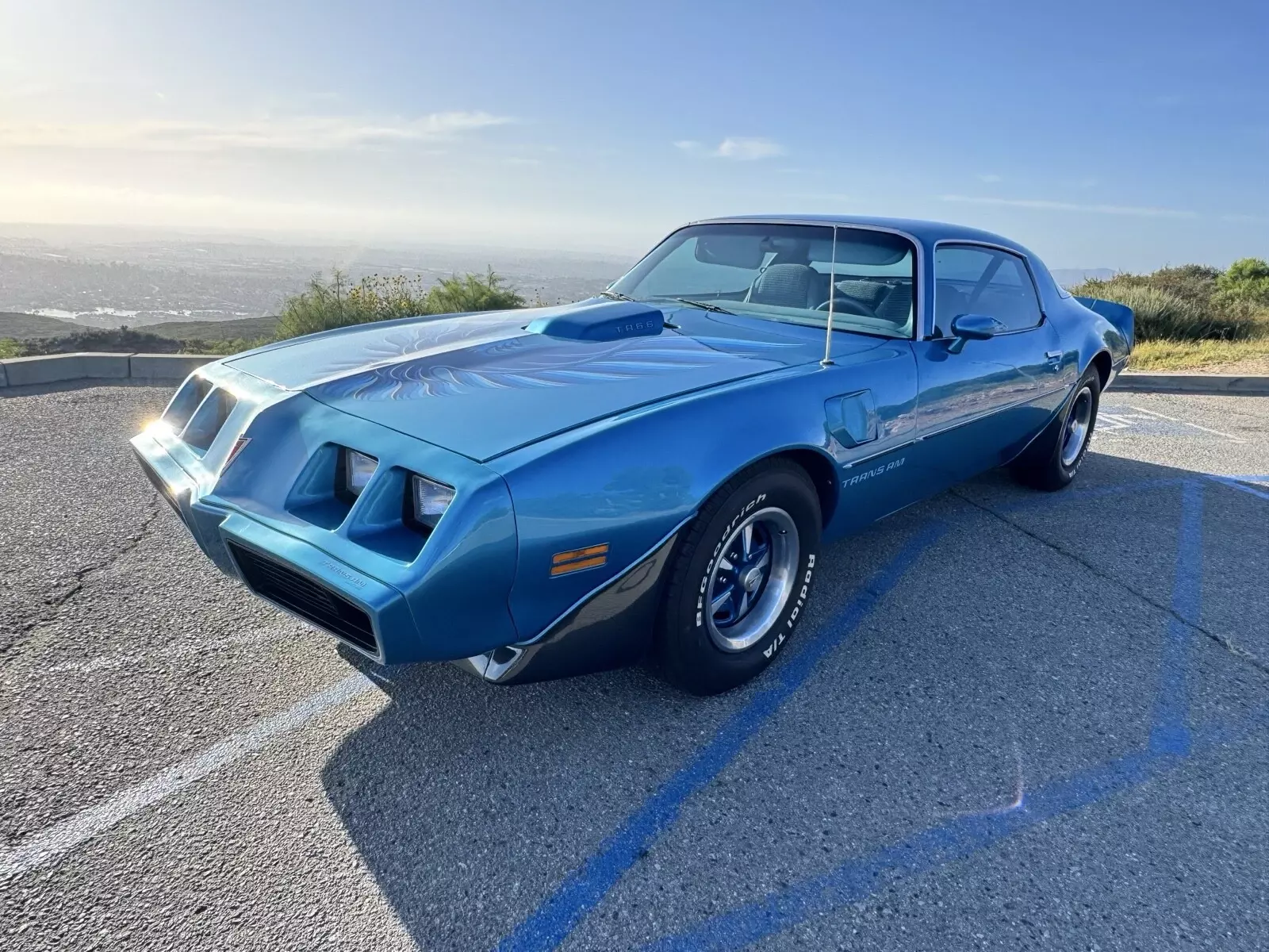 1979 Pontiac Firebird Blue Trans Am 1979 Pontiac Firebird Trans Am