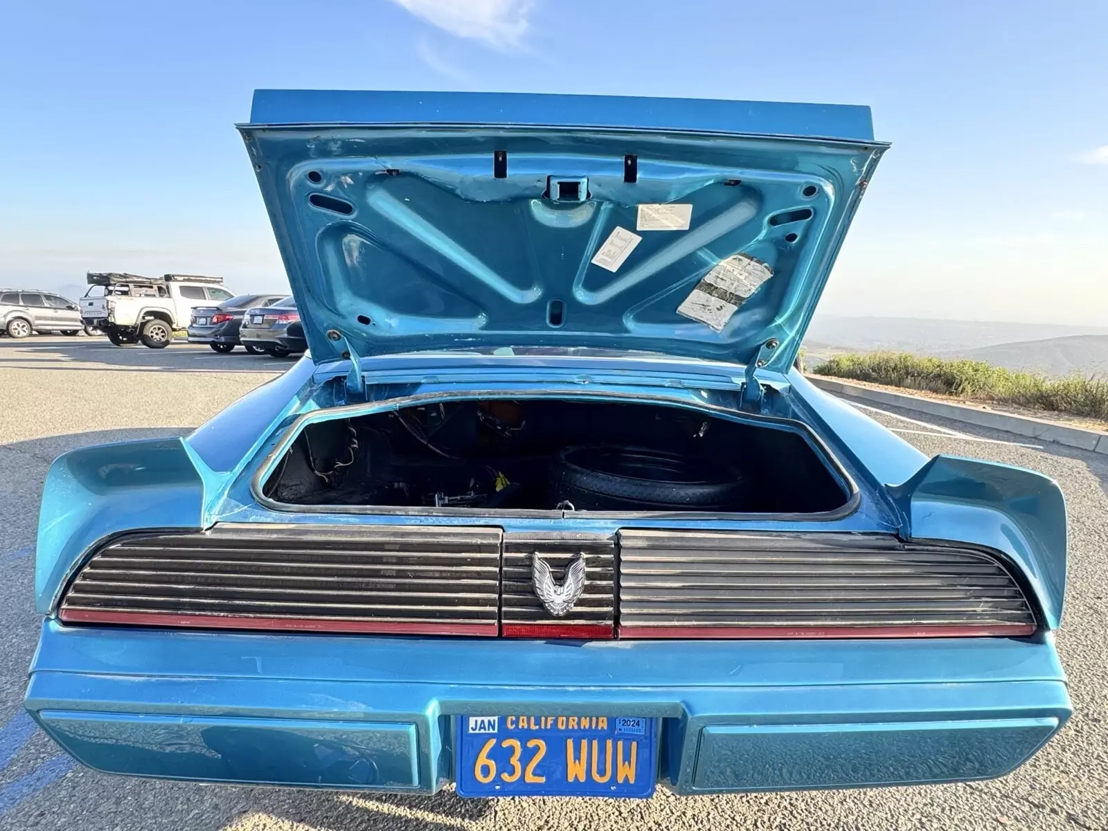 1979 Pontiac Firebird Trans Am - photo 11