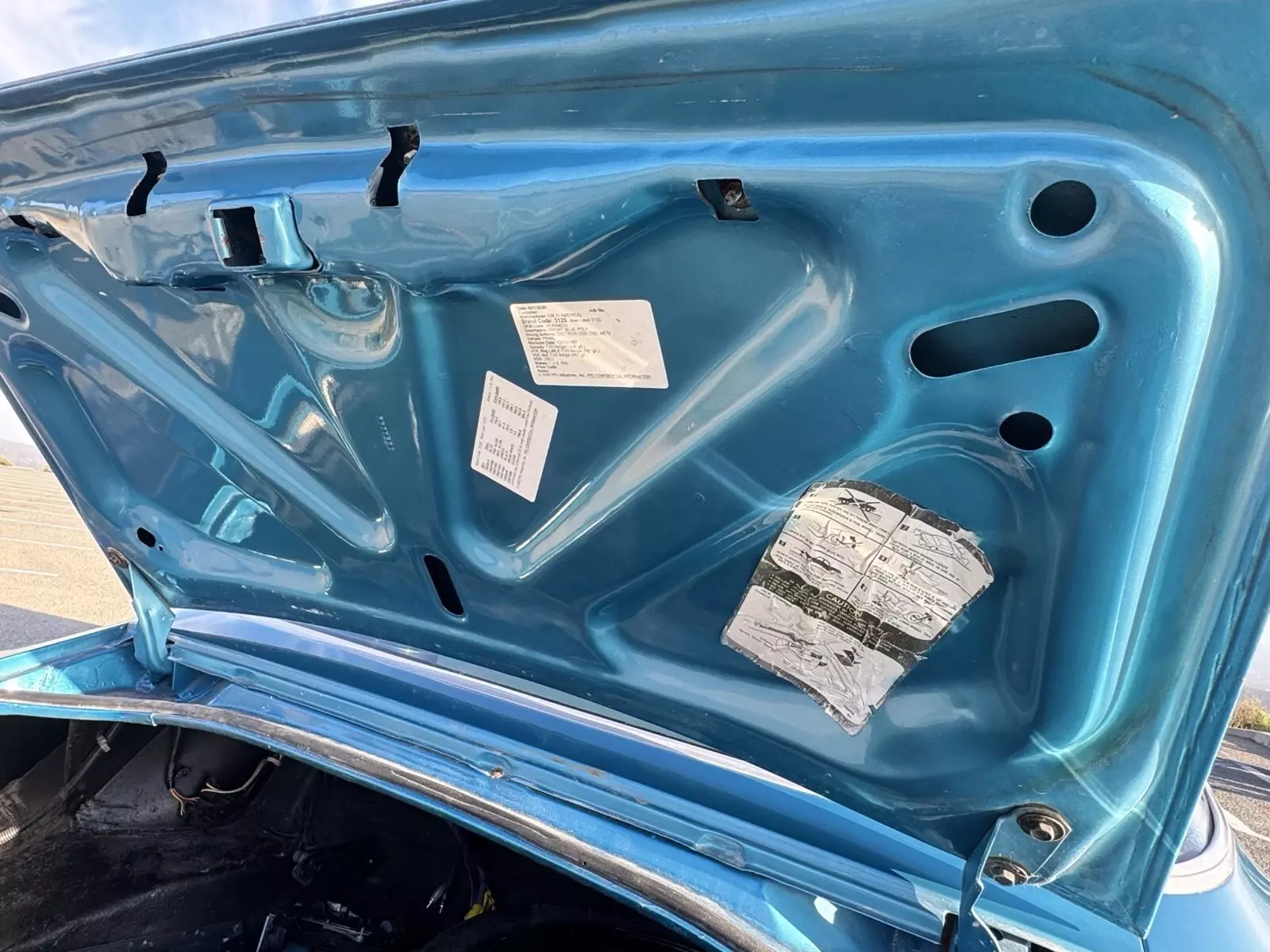 1979 Pontiac Firebird Trans Am - photo 12