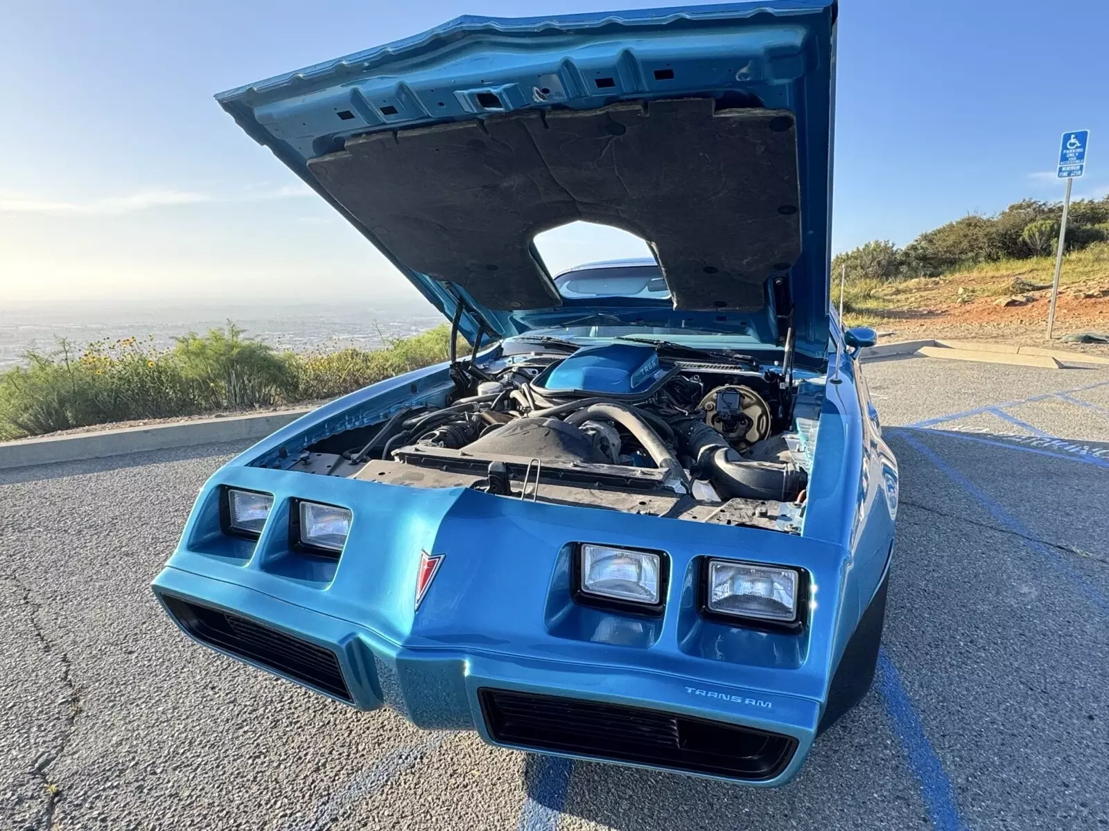 1979 Pontiac Firebird Trans Am - photo 13