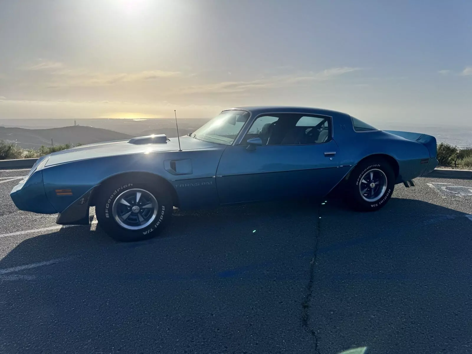 1979 Pontiac Firebird Trans Am - photo 2