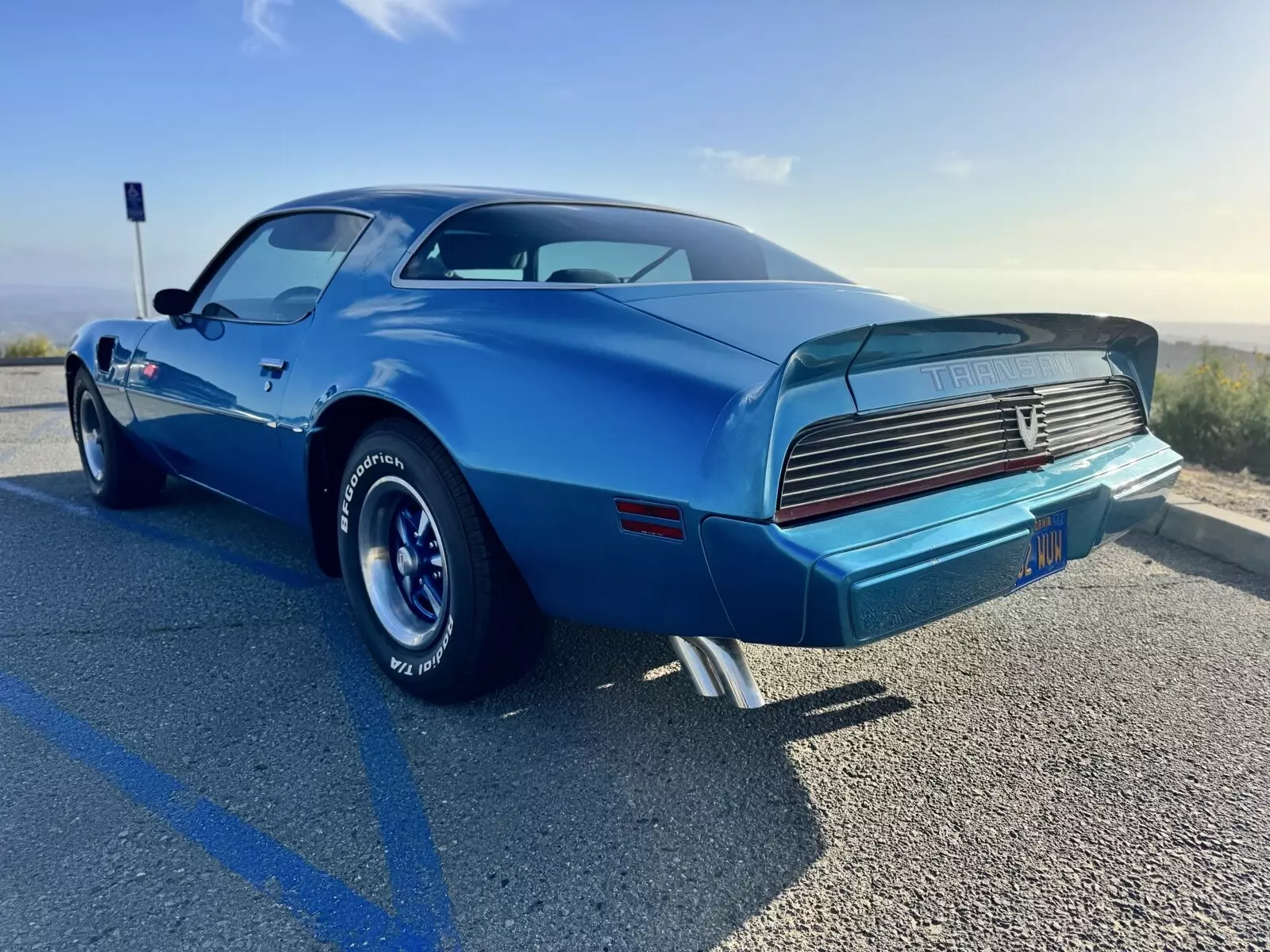 1979 Pontiac Firebird Trans Am - photo 3