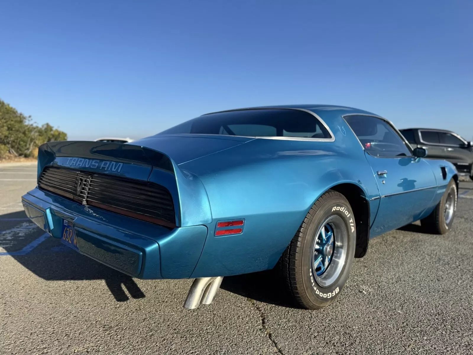 1979 Pontiac Firebird Trans Am - photo 5