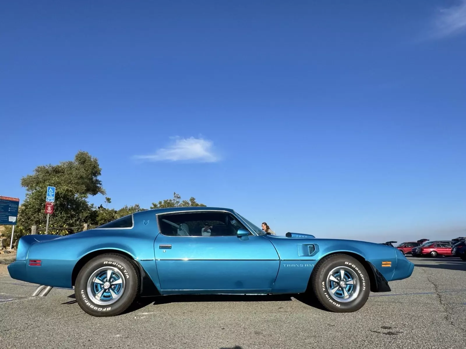 1979 Pontiac Firebird Trans Am - photo 6