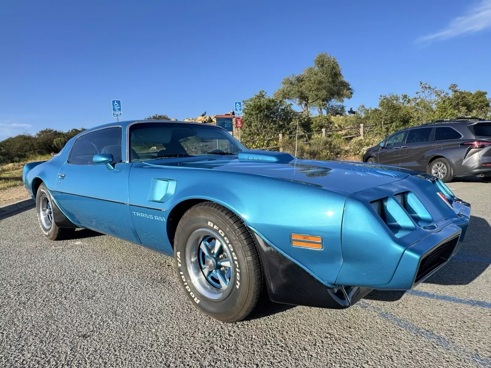 1979 Pontiac Firebird Trans Am - photo 7