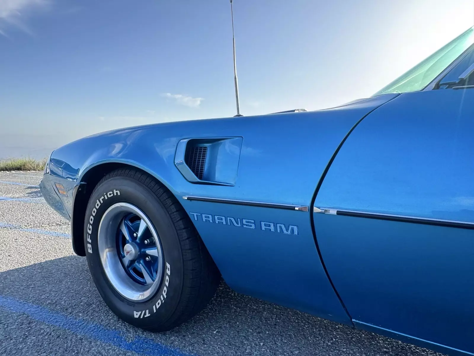 1979 Pontiac Firebird Trans Am - photo 8