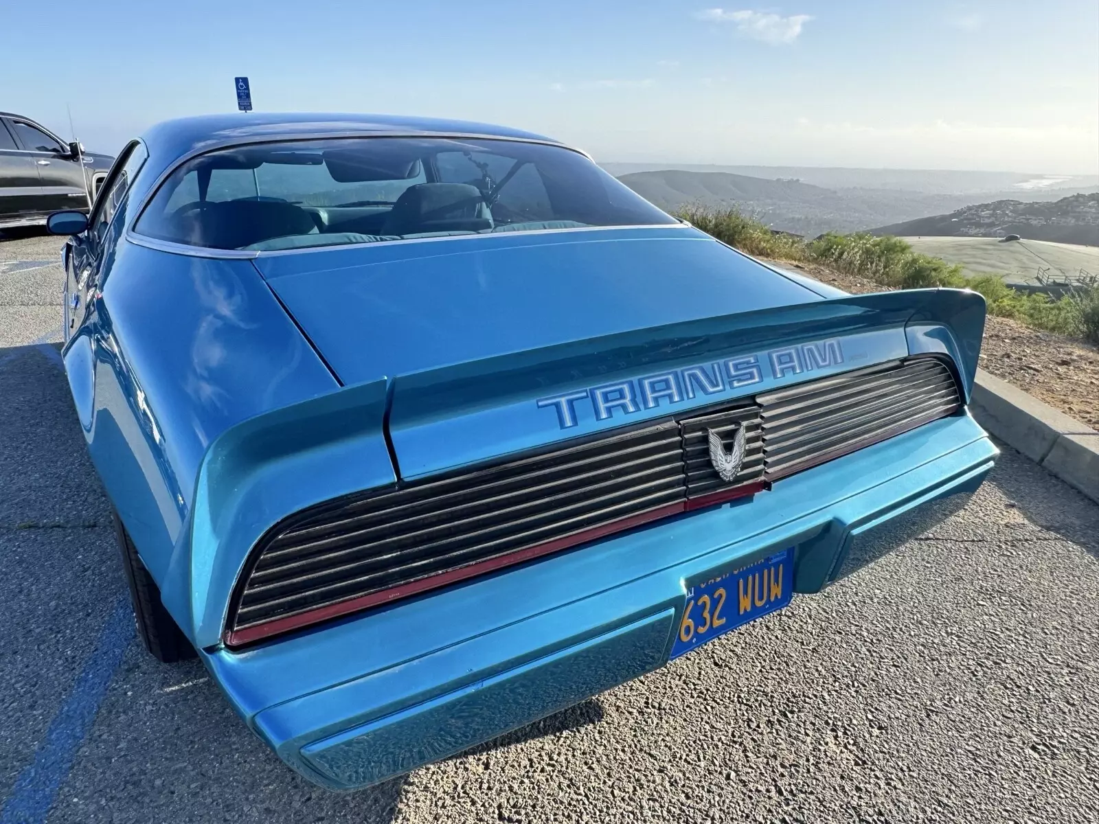 1979 Pontiac Firebird Trans Am - photo 9