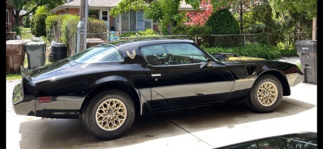 1979 Pontiac Firebird Coupe Black RWD Automatic Trans Am 1979 Pontiac Firebird Trans Am