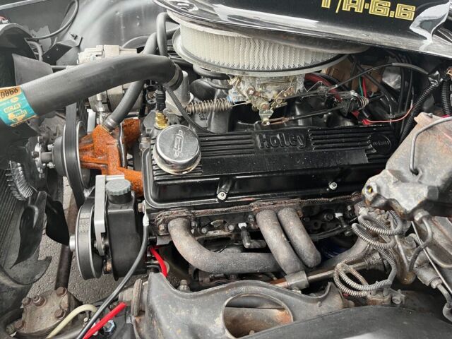 1979 Pontiac Firebird Trans Am - photo 11