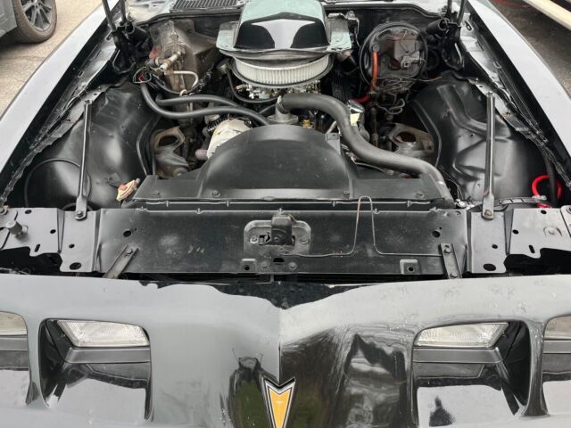 1979 Pontiac Firebird Trans Am - photo 12
