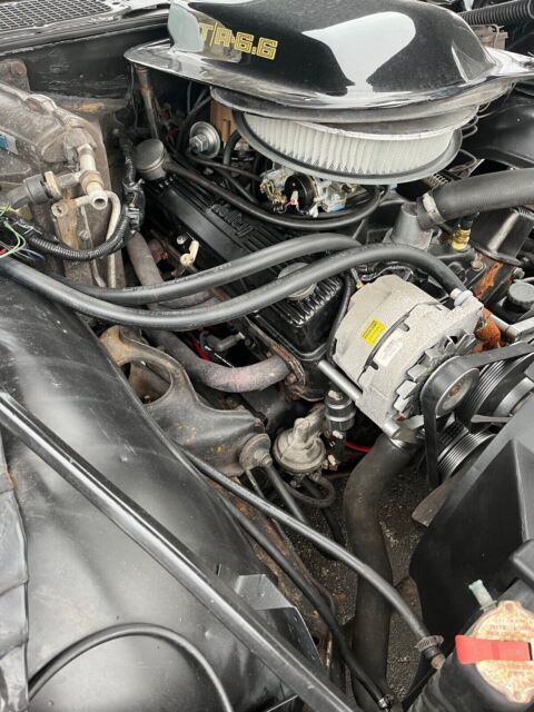 1979 Pontiac Firebird Trans Am - photo 13