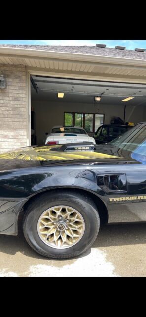 1979 Pontiac Firebird Trans Am - photo 2