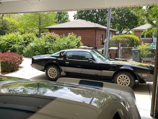 1979 Pontiac Firebird Trans Am - photo 3