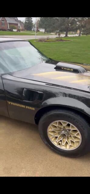 1979 Pontiac Firebird Trans Am - photo 4