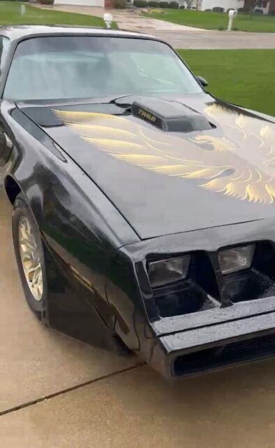 1979 Pontiac Firebird Trans Am - photo 7