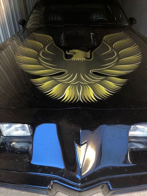 1979 Pontiac Firebird Trans Am - photo 8