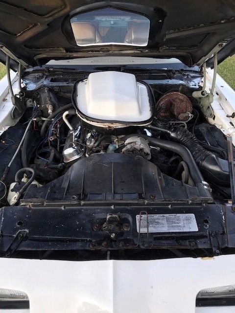 1979 Pontiac Firebird Esprit - photo 2