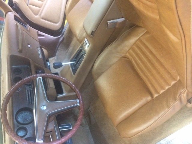 1979 Pontiac Firebird Esprit - photo 3