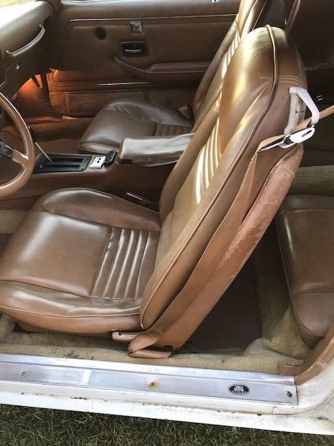 1979 Pontiac Firebird Esprit - photo 8