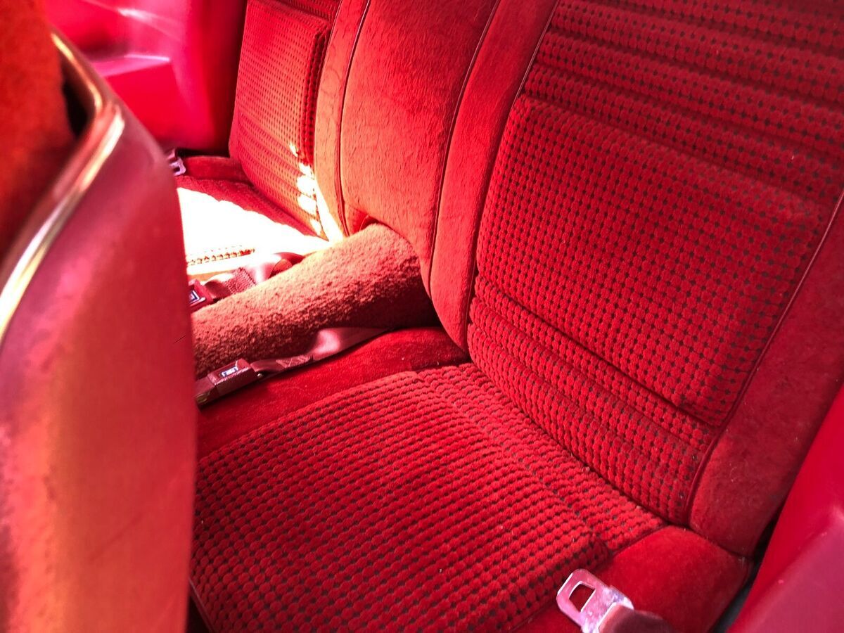 1979 Pontiac Firebird Esprit - photo 11