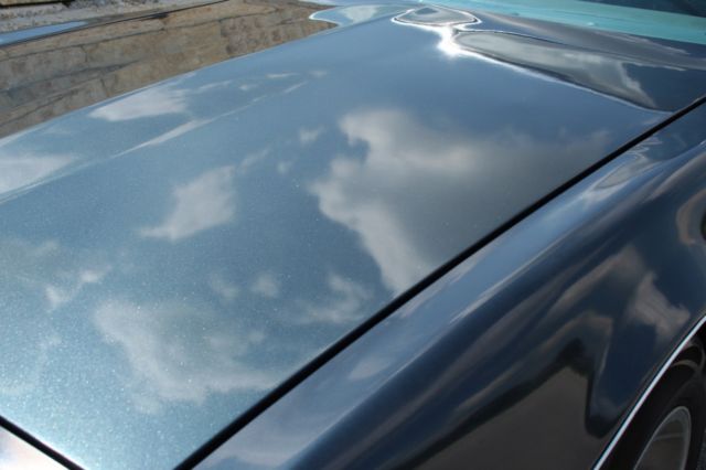 1979 Pontiac Firebird - photo 8