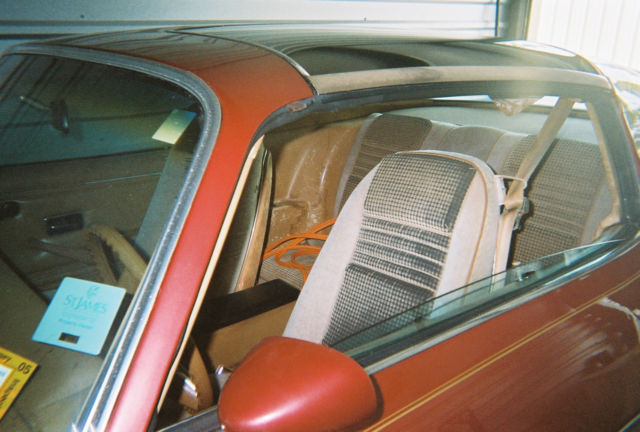 1979 Pontiac Firebird - photo 10