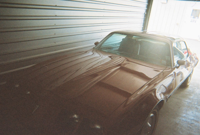 1979 Pontiac Firebird - photo 13