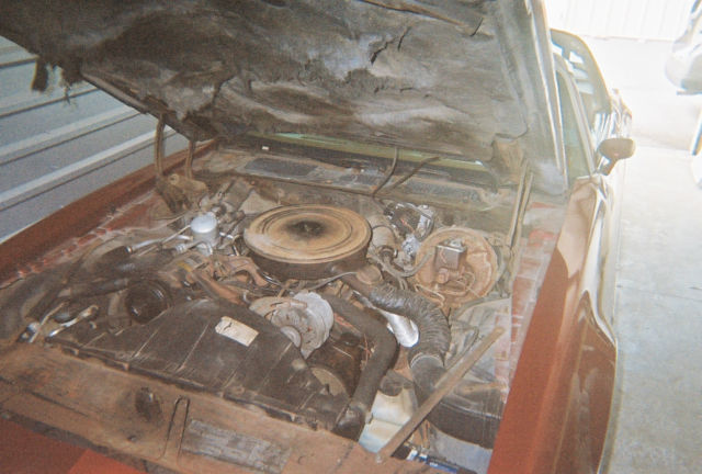 1979 Pontiac Firebird - photo 7