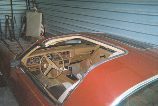 1979 Pontiac Firebird - photo 8