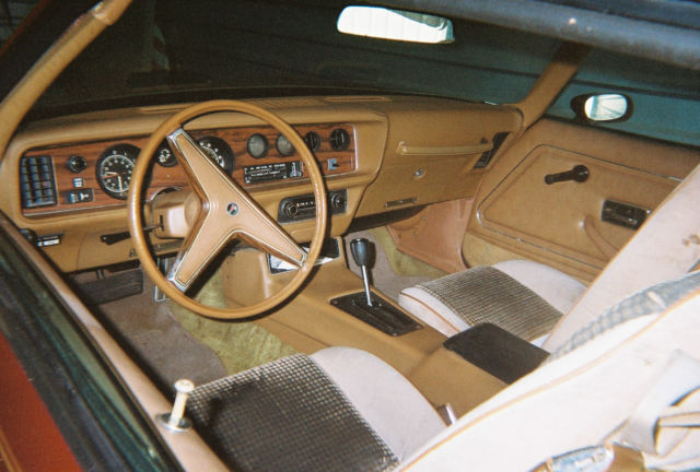 1979 Pontiac Firebird - photo 9