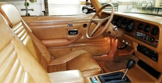 1979 Pontiac Firebird Esprit - photo 11