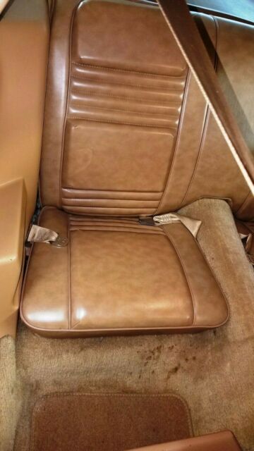 1979 Pontiac Firebird Esprit - photo 12